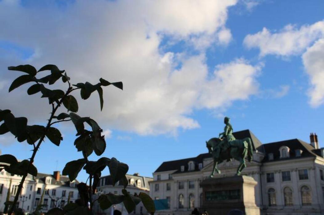 The Garden, Proche Bord De Loire Daire Orléans Dış mekan fotoğraf