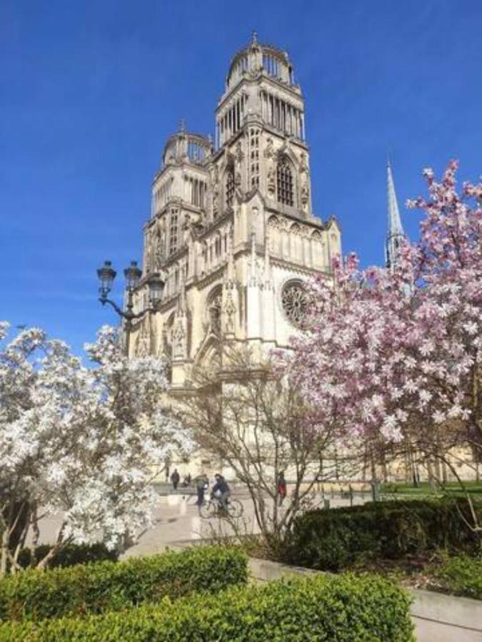 The Garden, Proche Bord De Loire Daire Orléans Dış mekan fotoğraf